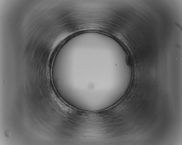 X0000101471072200807211331