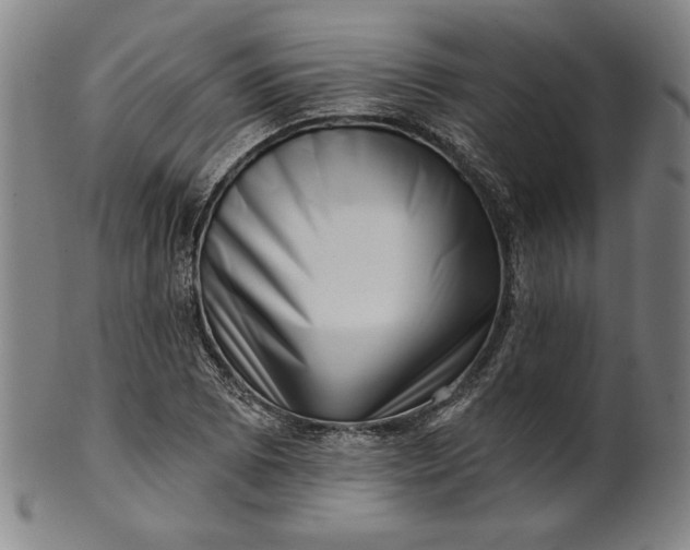 X0000101471073200807211331