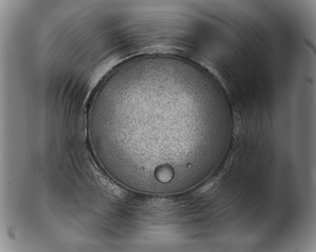 X0000101471075200807211331