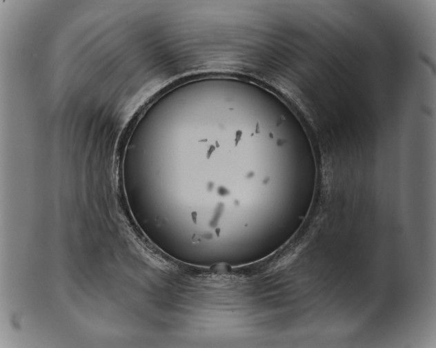 X0000101471077200807211331