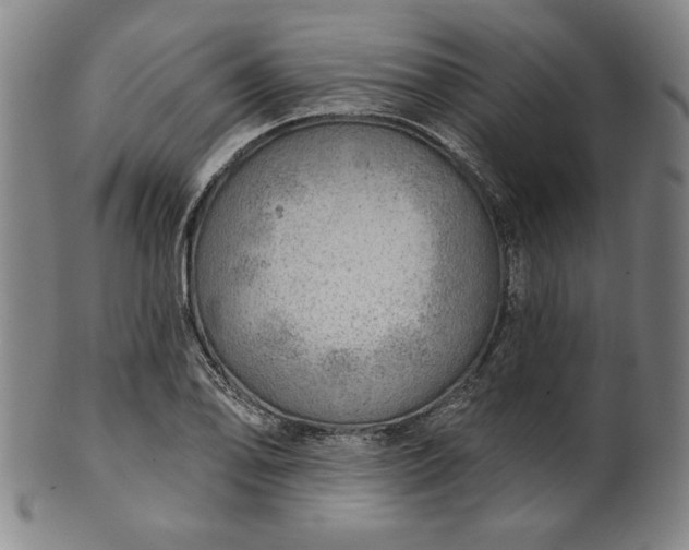 X0000101471078200807211331