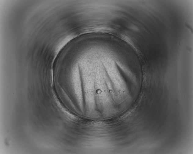 X0000101471079200807211331