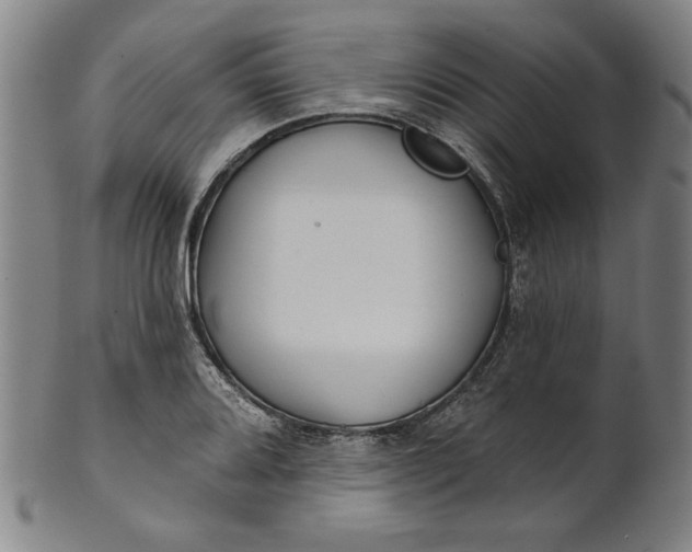 X0000101471080200807211331