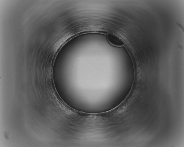 X0000101471081200807211331