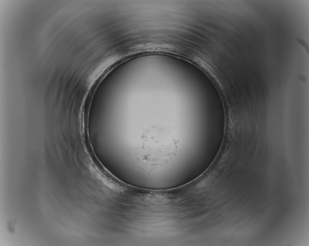 X0000101471082200807211331