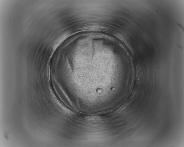 X0000101471083200807211331