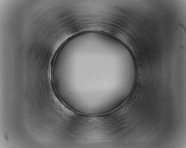 X0000101471084200807211331