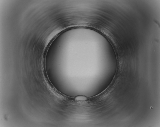 X0000101471085200807211331