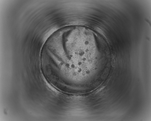 X0000101471087200807211331