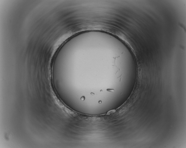 X0000101471088200807211331