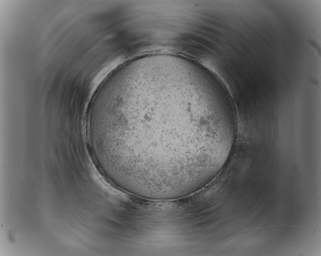 X0000101471090200807211331