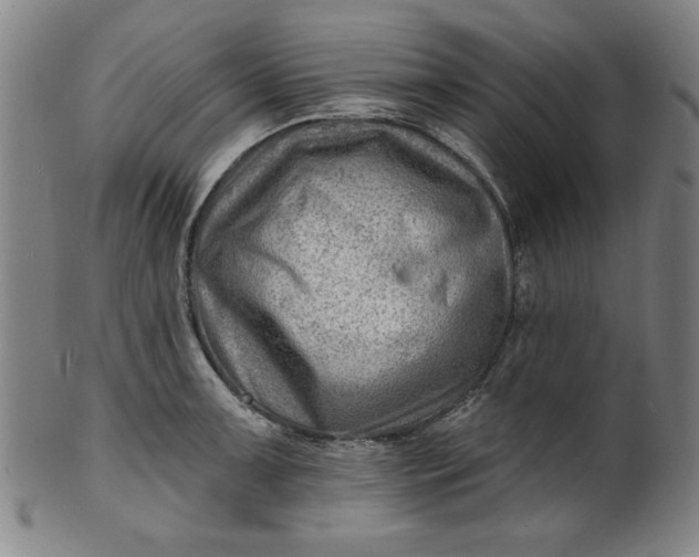 X0000101471091200807211331