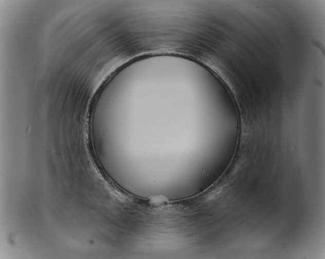 X0000101471093200807211331