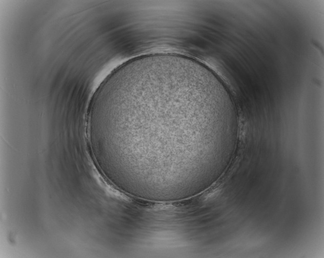 X0000101471094200807211331