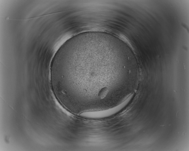 X0000101471095200807211331