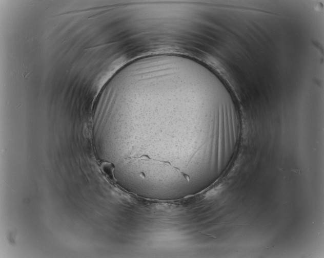 X0000101471097200807211331