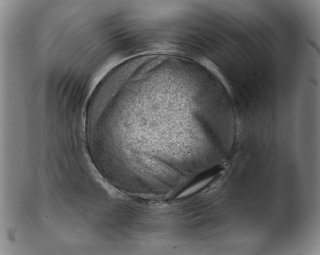 X0000101471099200807211331