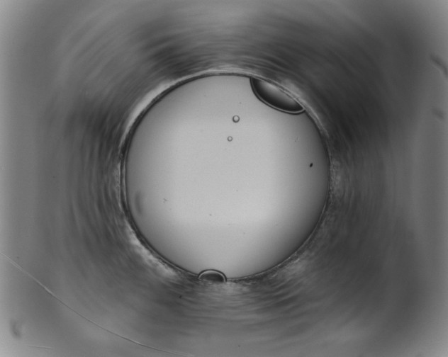 X0000101471100200807211331