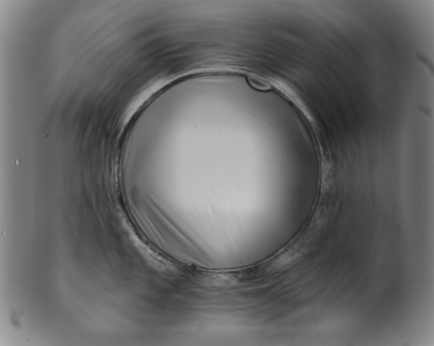 X0000101471101200807211331