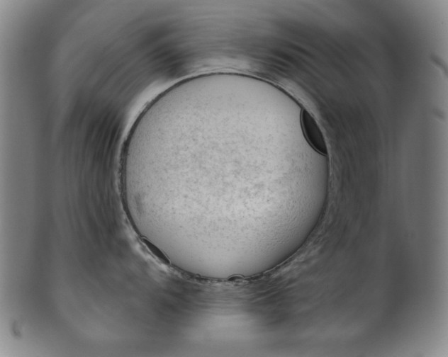 X0000101471104200807211331