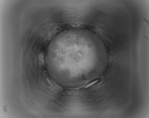 X0000101471106200807211330