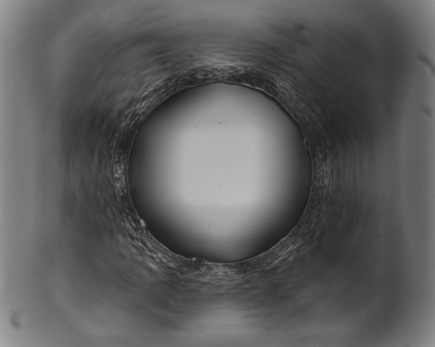 X0000101471109200807211330