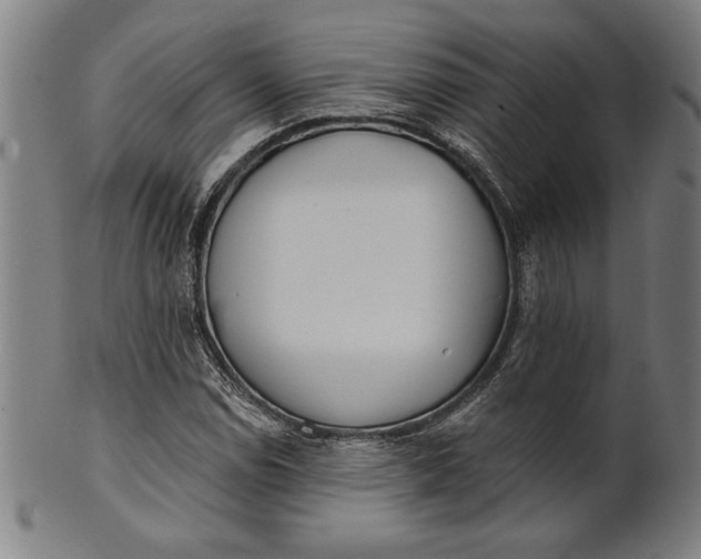 X0000101471114200807211330