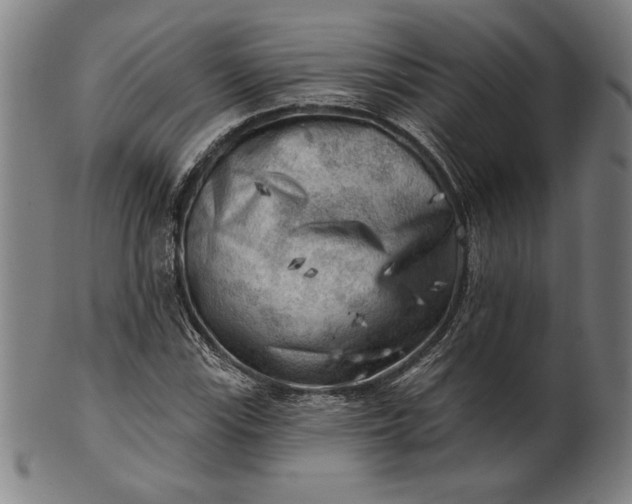 X0000101471115200807211330