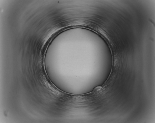 X0000101471116200807211330