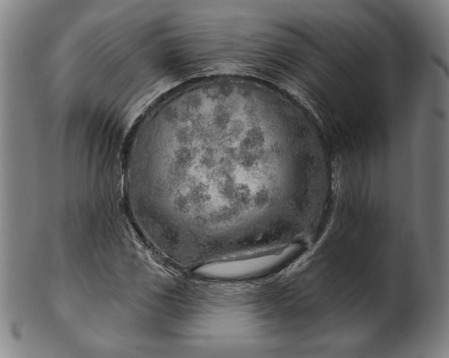 X0000101471117200807211330