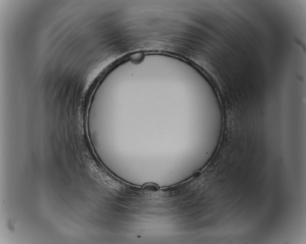 X0000101471120200807211330