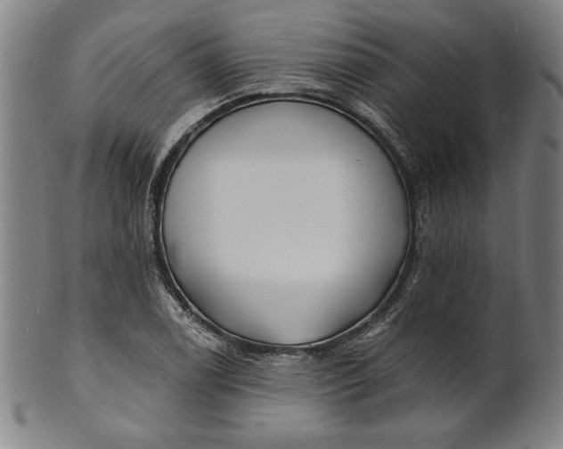 X0000101471122200807211331