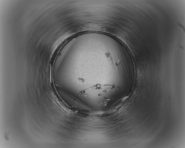 X0000101471123200807211331