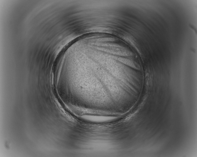 X0000101471125200807211331