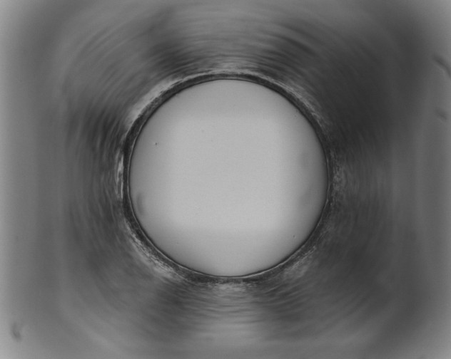 X0000101471126200807211331