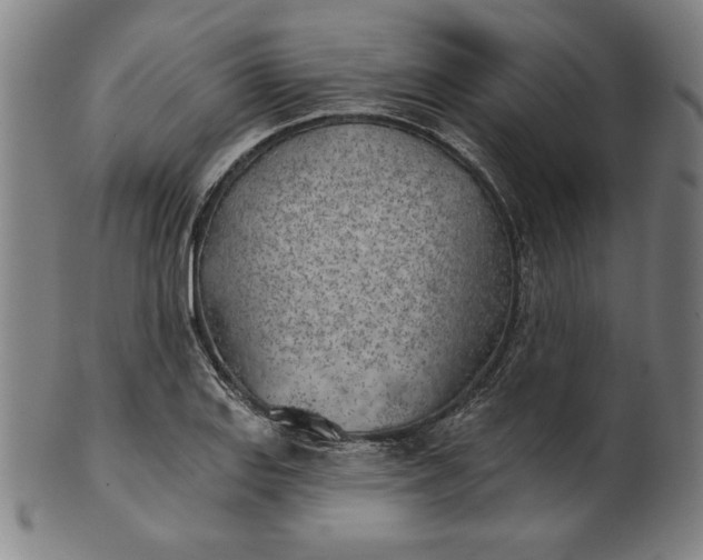 X0000101471127200807211331