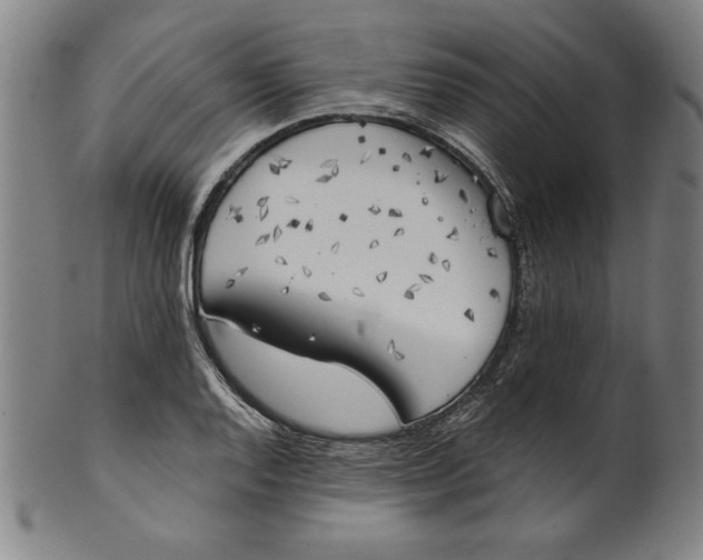 X0000101471128200807211331