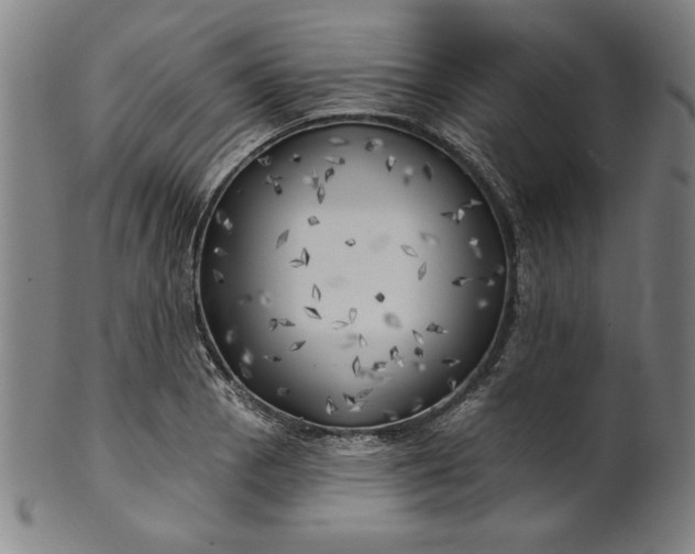 X0000101471129200807211331