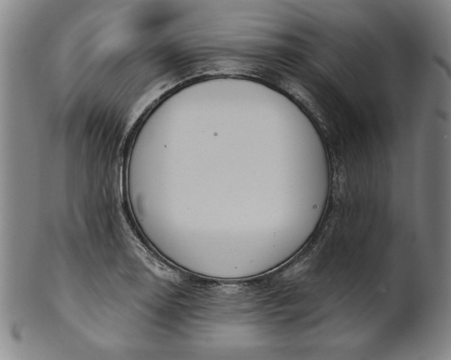 X0000101471130200807211331