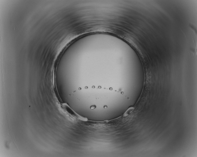 X0000101471132200807211331