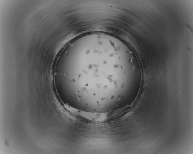 X0000101471133200807211331