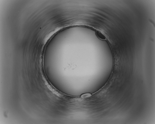 X0000101471134200807211331