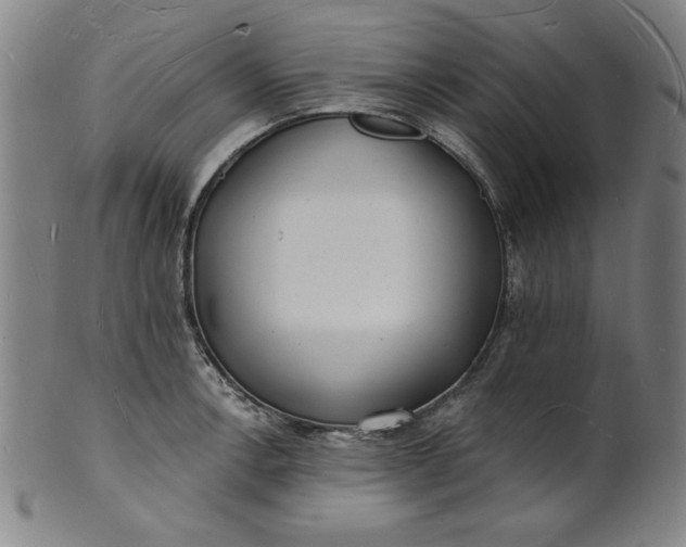 X0000101471138200807211331