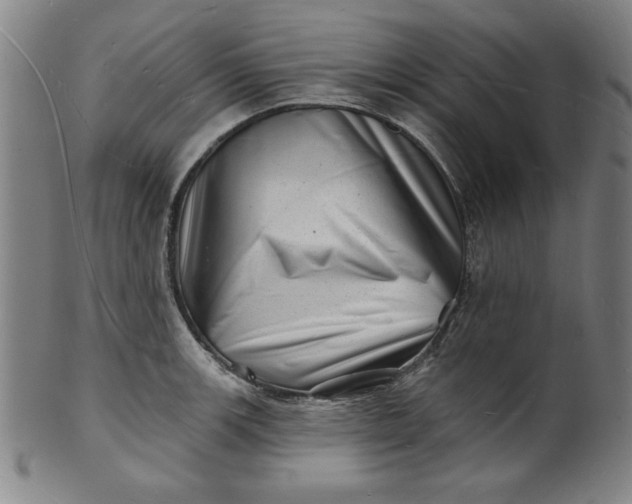 X0000101471139200807211331