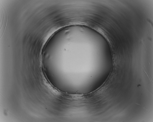 X0000101471140200807211331