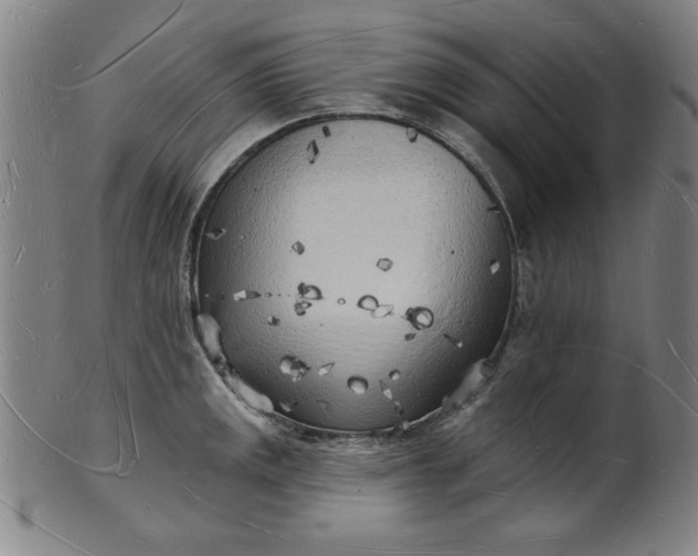 X0000101471141200807211331