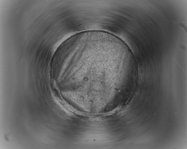 X0000101471142200807211331