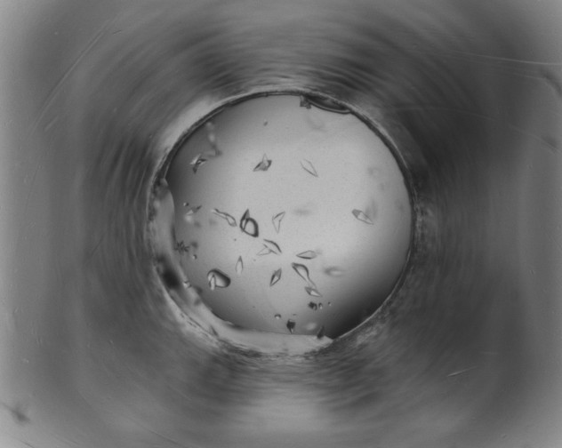 X0000101471143200807211331