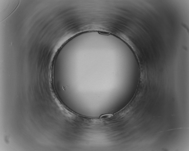 X0000101471144200807211331