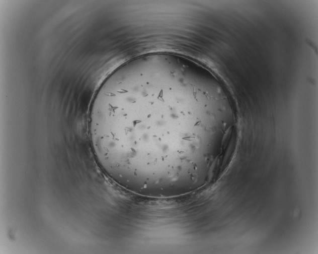 X0000101471145200807211331